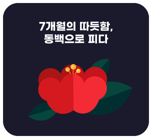 7개월 할인 이벤트('25년11월)