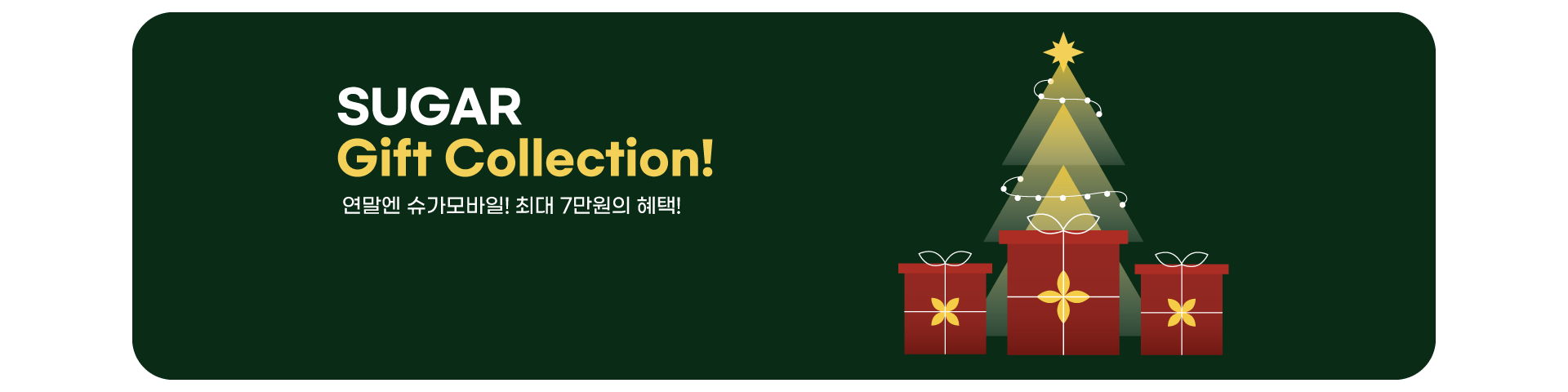 기프트콜렉션('25년/12월)