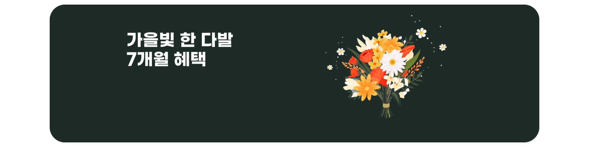 7개월 할인 이벤트('25년09월)
