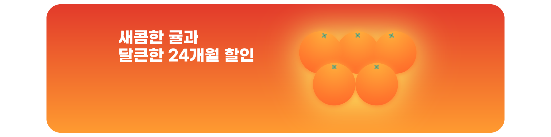 24개월 할인 이벤트('25년12월)