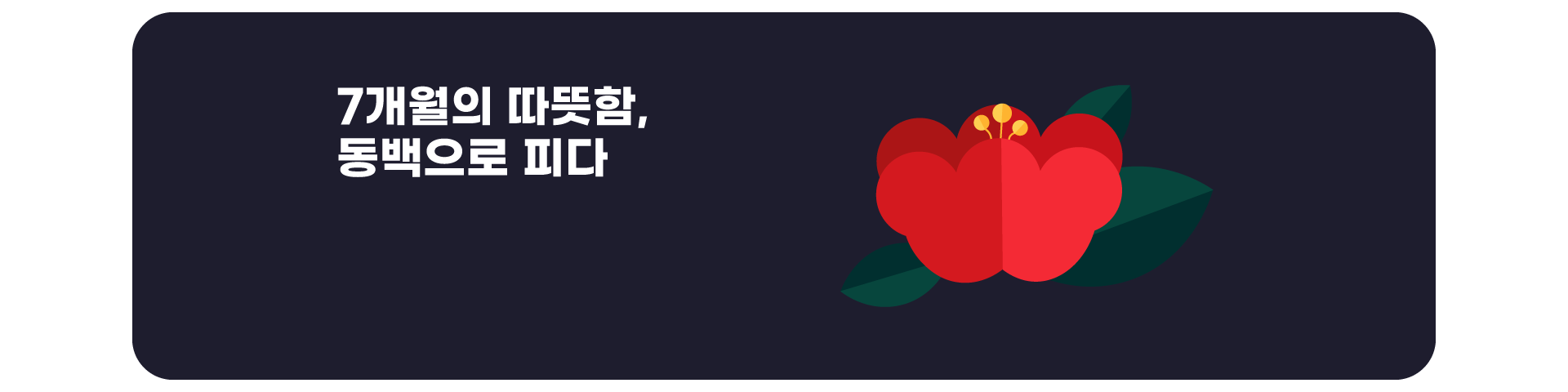 7개월 할인 이벤트('25년11월)