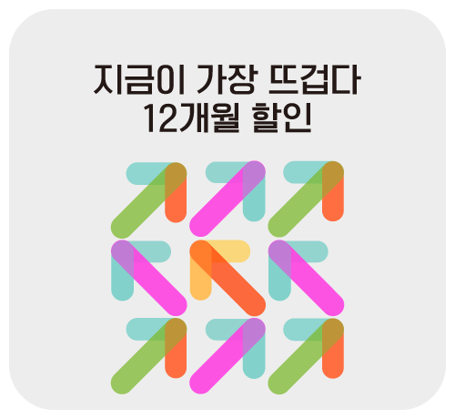 12개월 할인 요금제('25년 07월)