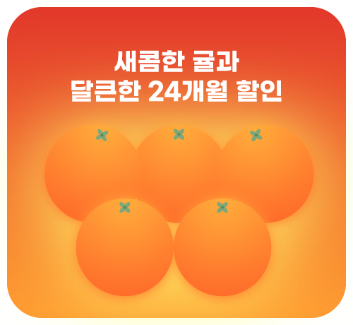 24개월 할인 이벤트('25년12월)