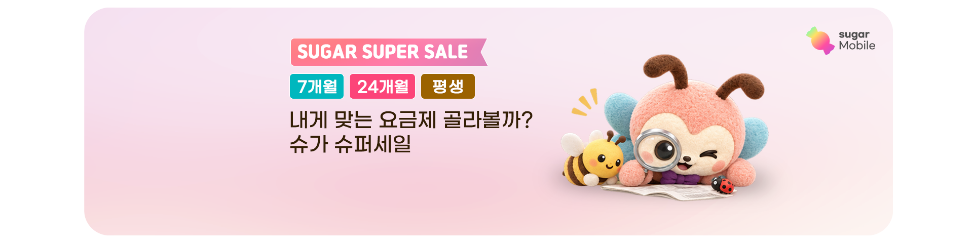 슈가슈퍼세일!('26년/10월)