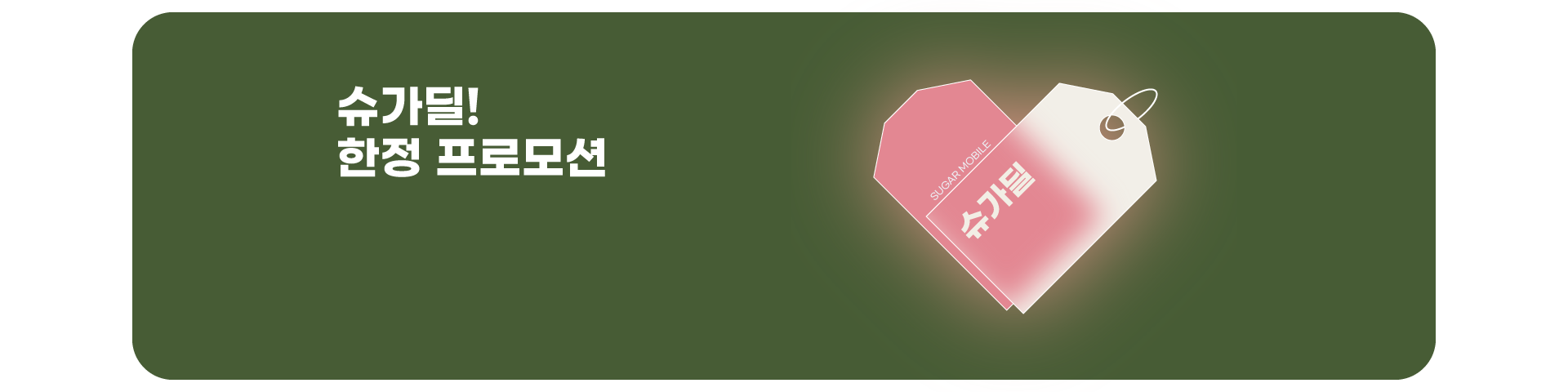 슈가딜('26년04월)