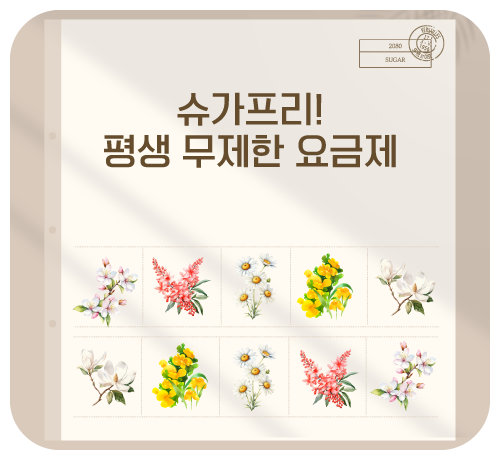 평생 데이터 무제한 초저가 요금제