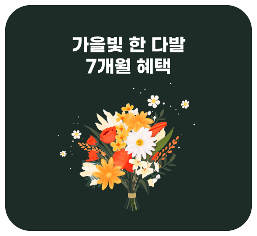 7개월 할인 이벤트('25년09월)