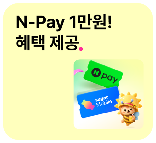 N-pay프로모션('26년6월)