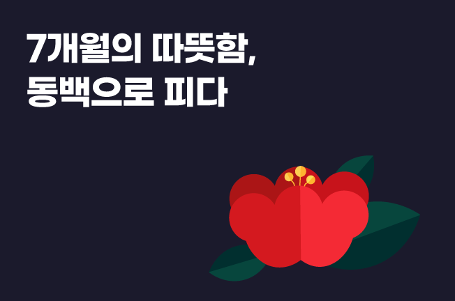 7개월 할인 이벤트('25년11월)