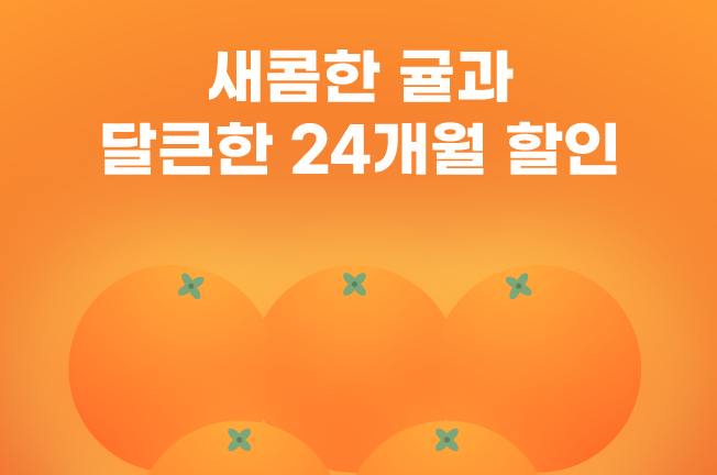 24개월 할인 이벤트('25년12월)