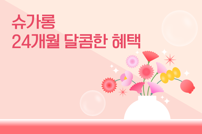 24개월 할인 요금제