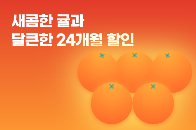 24개월 할인 이벤트('25년12월)