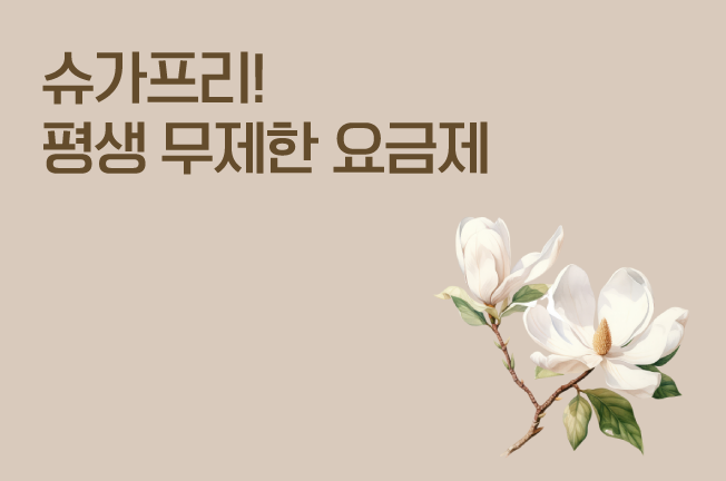 평생 데이터 무제한 초저가 요금제