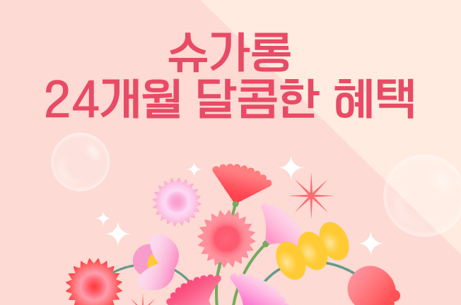 24개월 할인 요금제