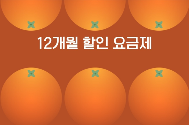 12개월 할인 이벤트