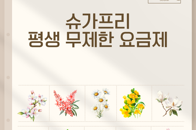 평생 데이터 무제한 초저가 요금제