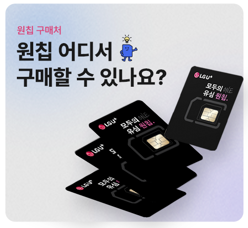 모두의 원칩 구매처