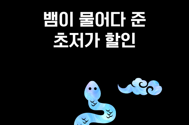 초저가할인 프로모션('25/01월)