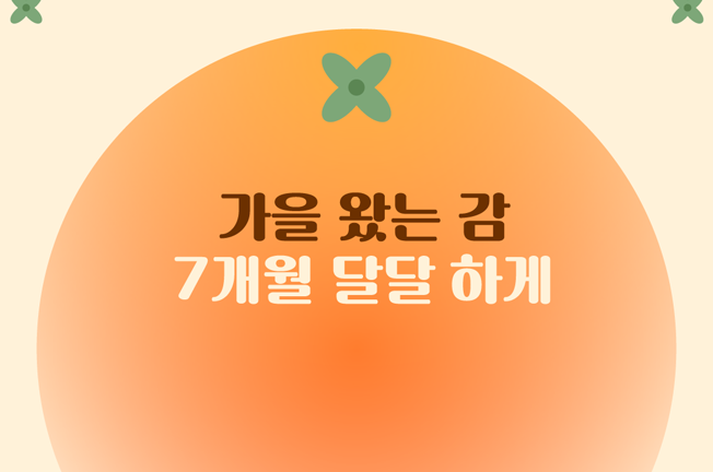 슈가 7개월 할인